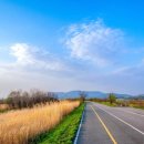 산책길-1 이미지