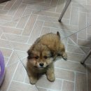 한솔모터스 이미지