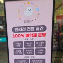 멍블리스 이미지