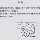 김잠묘 네이버블로그