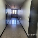 소나무숲리조트마트