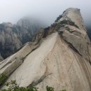 비타민 숲 이미지