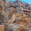 고대1118 이미지