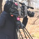 관정태양광발전소 이미지