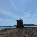 파도리 해수욕장 이미지