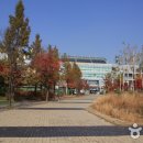 코오롱글로텍매점