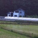 오리&오리 앞 이미지