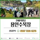 상례차림 이미지