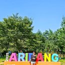 민속운동장(제26주구) | 가을 정선가볼만한곳 강원도 축제 정선아리랑제와 아리랑시장 정선여행 후기