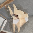 울산파워밋션전문점 | [울산북구누수] 싱크대 호스 누수 피해 아랫집 천장까지 원스톱 해결 후기