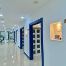 전남반려동물장례식장푸른솔 이미지