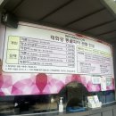 태화강동굴피아 화장실 | 울산 뚜벅이 여행지 추천, 태화강동굴피아 솔직후기