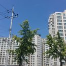 금호 어울림 이미지