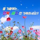 8월 8일 금요일 간추린 뉴스와 날씨 이미지