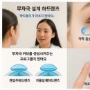 우성 안경원 이미지
