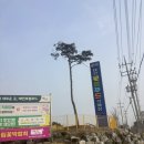 푸짐한 푸드 한식뷔페 | 안면도한식뷔페 태안로컬푸드직매장한식뷔페 부터 로컬푸드 구경까지
