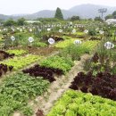 (주)자연농장 이미지