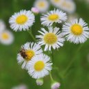 아산충무병원 사거리 이미지