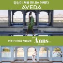 ◆◆◆은평구 대표미용실 ＜아베다안스헤어＞에서 경력디자이너 추가모집합니다 ◆◆◆ 이미지