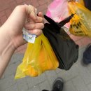 진성족발 | 망원시장 주말 공영주차 및 포장 맛집 // SNS 리스트 후기(큐스닭강정,망원떡갈비,진성만두,우이락 등)