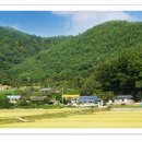 고래불권역마을 이미지