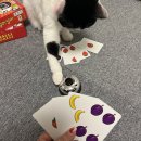 어쩌다어달 이미지