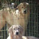 부마클럽 이미지