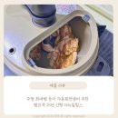 주방 최애템 등극 자동회전냄비 추천 램프쿡 25년 신형 더뉴일립스