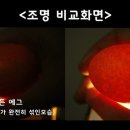 골든에그 이미지