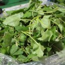 경동시장 성동상가 이미지