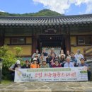 스테이 그로브 이미지