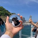 자이언트 김밥 | 강원도 동해 가볼만한곳 묵호 스카이사이클 자이언트 슬라이드 후기