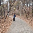 백운사 입구 좌측 이미지