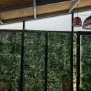 수직의 정원 | 옥상/테라스 난간 인테리어, 플랜트월 수직정원으로 가장 쉽고 저렴한 플랜테리어완성