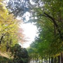 청학로학교길 이미지