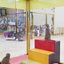 에덴미어캣프랜즈 이미지