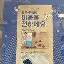 블루샥대신 이미지