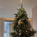 허니모텔 | [부산] UH 컨티넨탈 센터포인트 숙박후기(내돈내산/조식/자쿠지/하이볼)