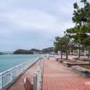 여수연합항운(여수해양공원) 이미지