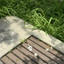 회랑 생선구이랑 이미지