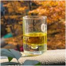 GS농장 | 손미나 엑스트라버진올리브오일 장점 GS홈쇼핑 단독 출시!잠봉뵈르 샌드위치 레시피