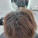 리하이헤어 이미지