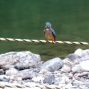 가마솥보리밥 이미지