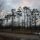 사랑의연리근 이미지