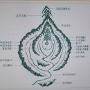 풍수지리(음택, 묘지) 이미지