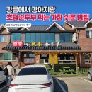 초당관광지 | 강릉 초당맷돌순두부 애견동반 후기 | 실내에서 강아지랑 짬뽕순두부 먹방 🐕🍲