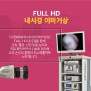 티제이 이미지