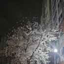 한국체대 탑 태권도장 이미지