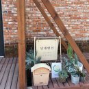 달래맨션 | [경남/하동 숙소] 🌿‘달래 맨션’ 내돈내산 후기 🏡 2번 방 앞 녹차밭 뷰, 바베큐, 조식까지 완벽했던...