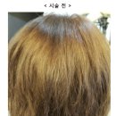 헤어도(DO)